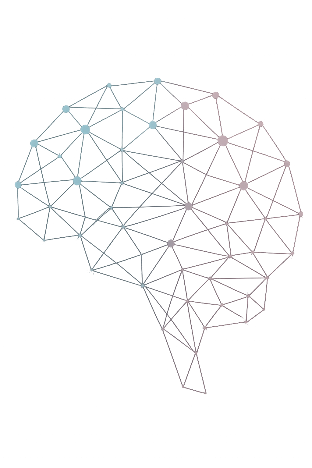 Network Background